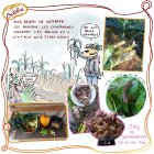 10_potager_2024.jpg
